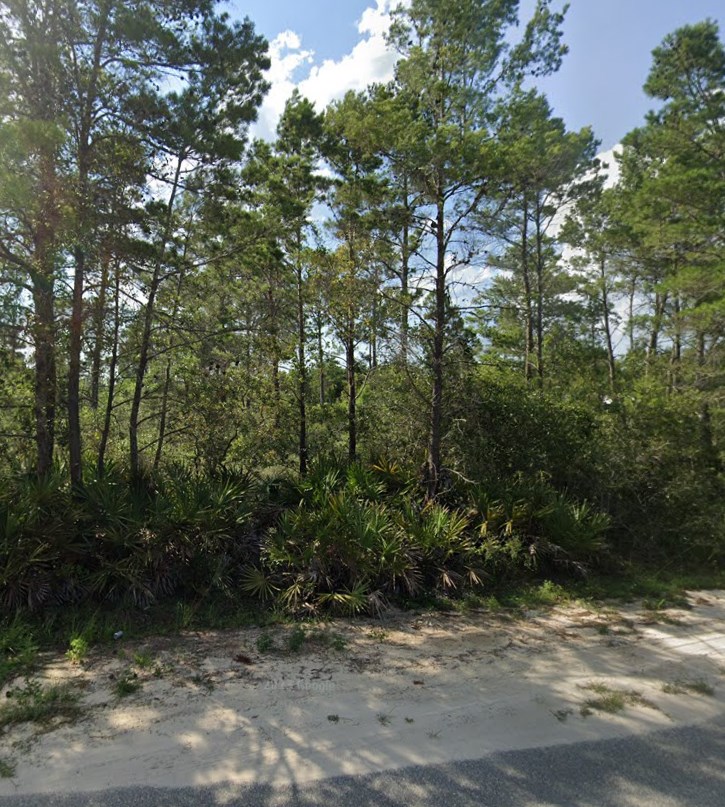 208 Woodill Road Carrabelle, FL 32322 - Photo 4 of 18 Gallery Image 4