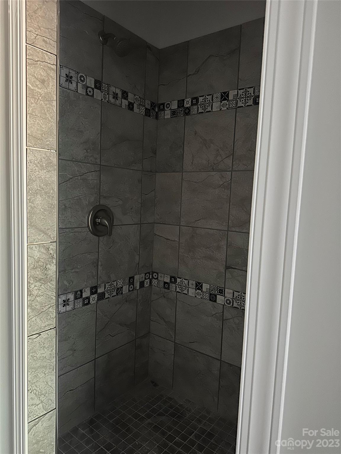 3807 Red Doc Road Lancaster, SC 29720 - Photo 5 of 7 a bathroom with a shower