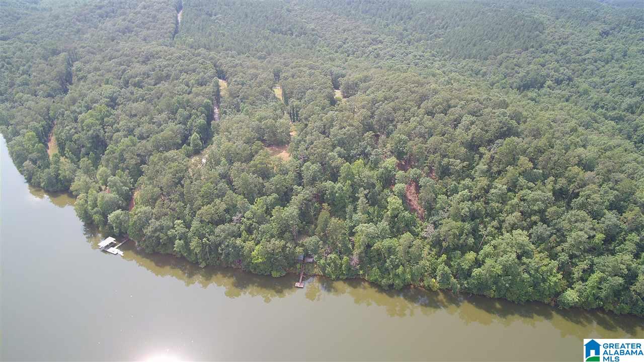 Lot 3 Harbour Point Drive, Unit 3 Delta, AL 36258 - Photo 2 of 7