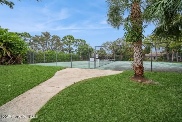 a view of a park with palm trees