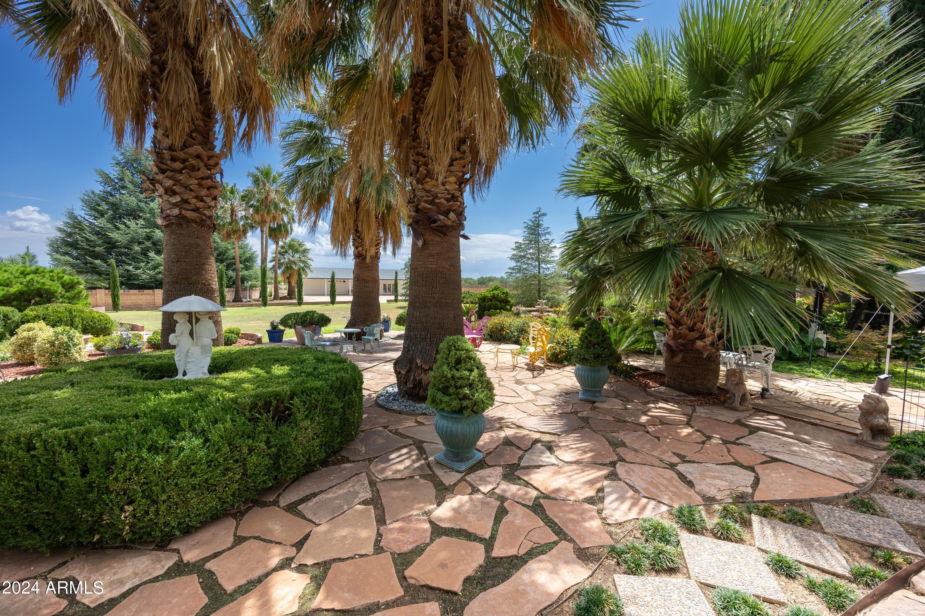 2204 North Maple Avenue Huachuca City, AZ 85616 - Photo 12 of 65 a couple of palm trees sitting in a yard with swimming pool