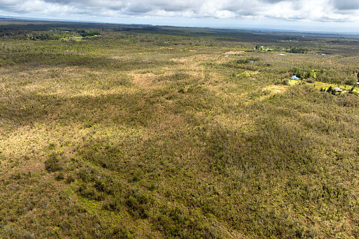 11-3139 Ohukapu Road Mountain View, HI 96771 - Photo 28 of 29