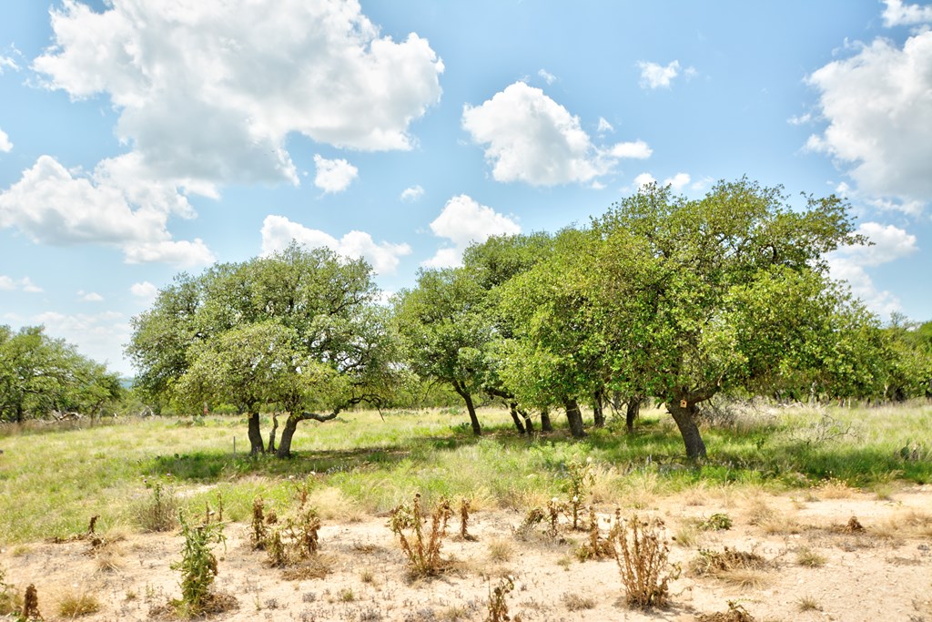Lot 2 Rr 479 Harper, TX 78631 - Photo 2 of 4