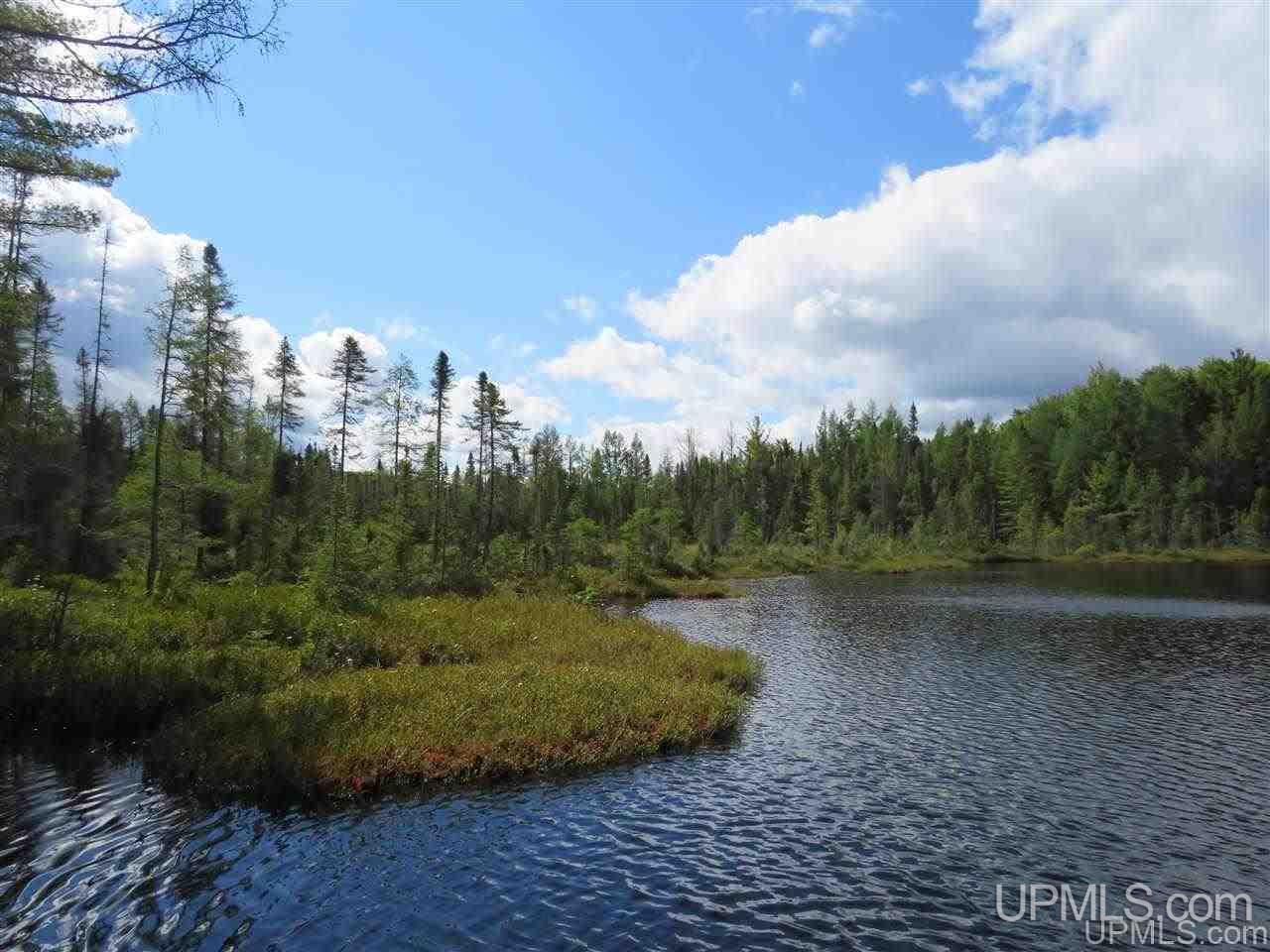 Tbd Off Lake On Three Road Trout Creek, MI 49967 - Photo 19 of 50