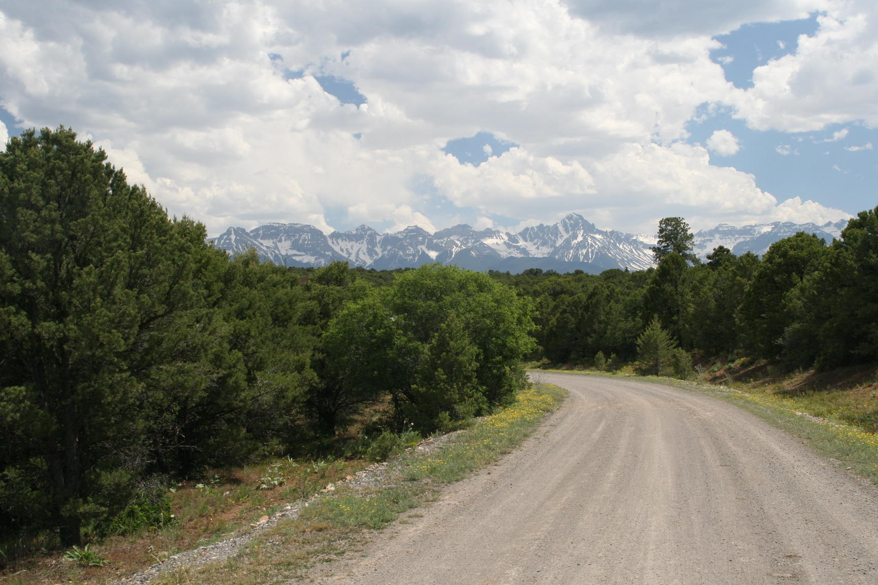 124 Tower Road South Ridgway, CO 81432 - Photo 1 of 11 San Juan Mtn Views