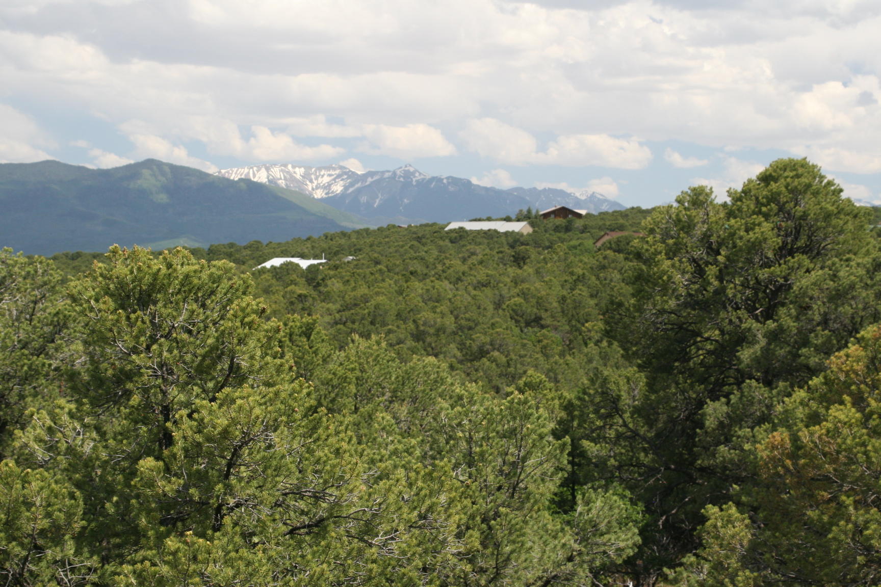 124 Tower Road South Ridgway, CO 81432 - Photo 6 of 11 IMG_5189