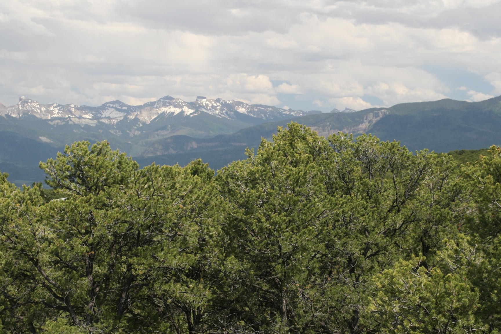 124 Tower Road South Ridgway, CO 81432 - Photo 7 of 11 IMG_5190