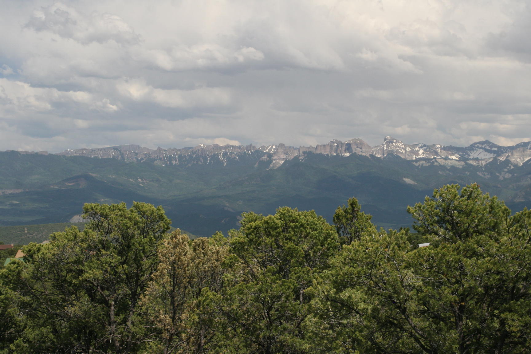124 Tower Road South Ridgway, CO 81432 - Photo 8 of 11 IMG_5191