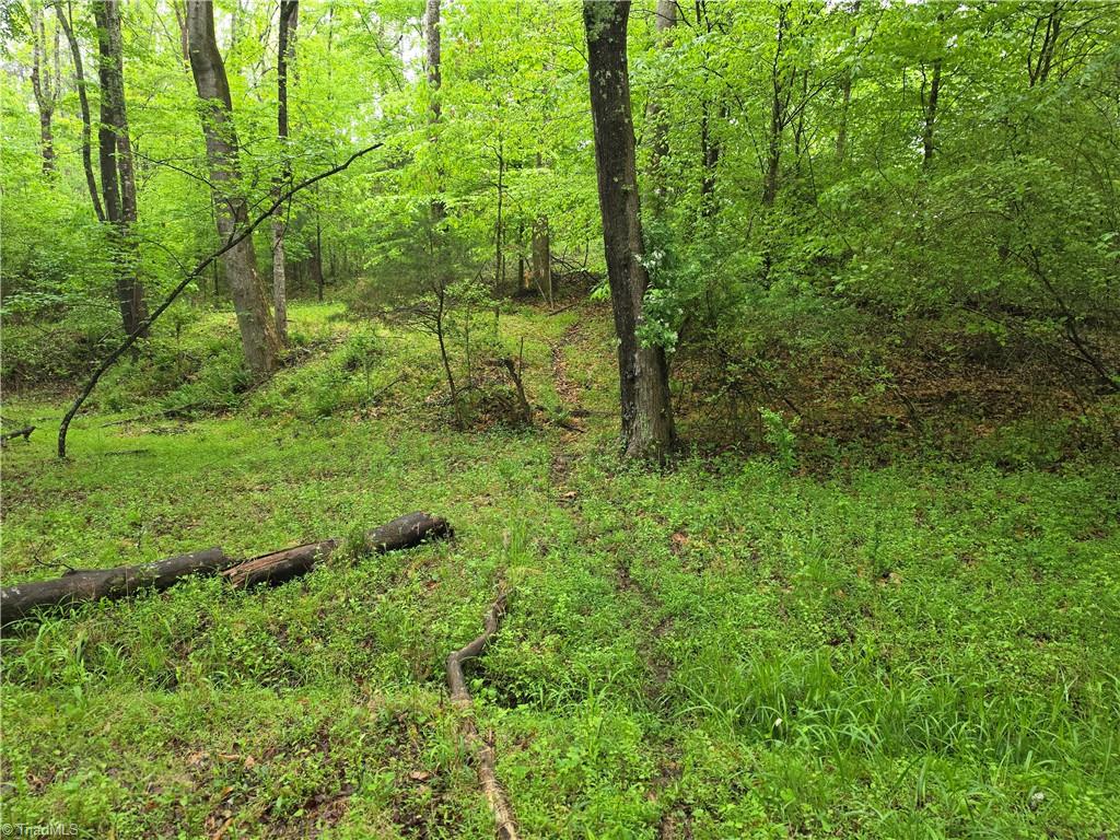 2729 Asbury Road Mount Airy, NC 27030 - Photo 32 of 36