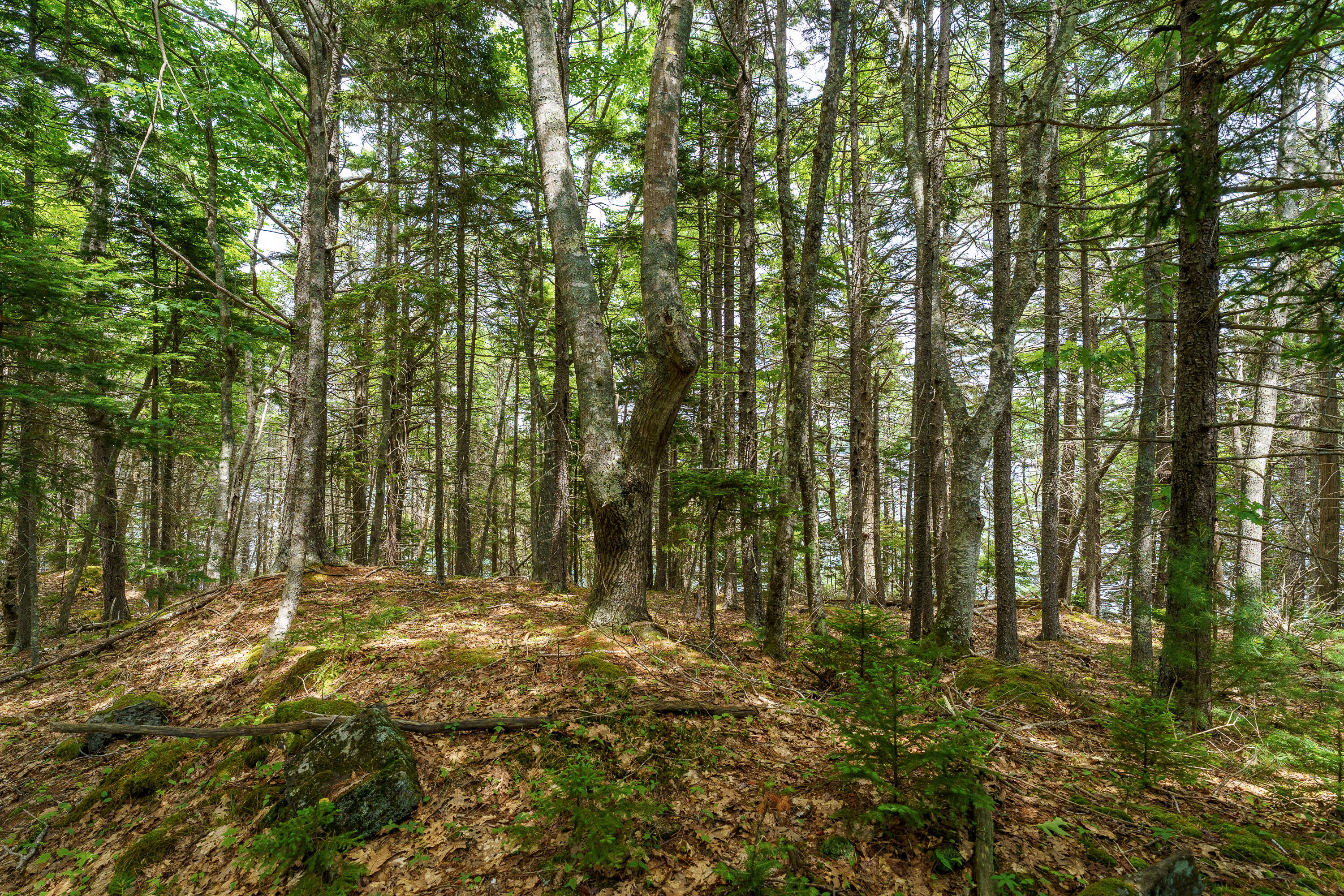 205 Steves Road Boothbay, ME 04537 - Photo 11 of 17 205 Steves Rd. Boothbay-23