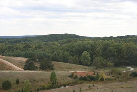 331 Fox Run Road Boones Mill, VA 24065 - Photo 10 of 10 FRONT PORCH VIEW