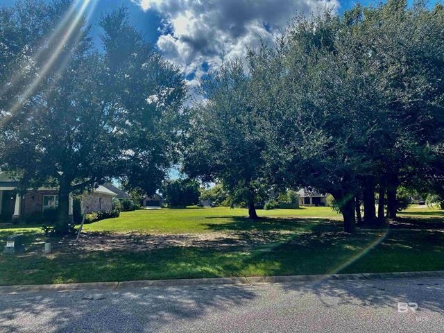 0 Dundee Circle Foley, AL 36535 - Photo 1 of 2