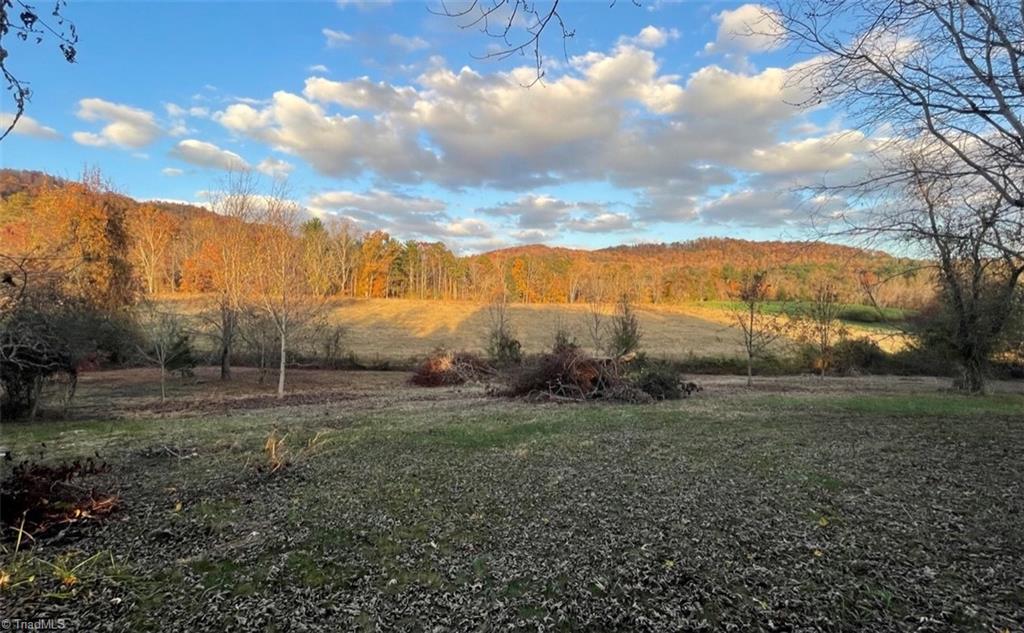 14281 Longbottom Road Traphill, NC 28685 - Photo 26 of 30 Gallery Image 26