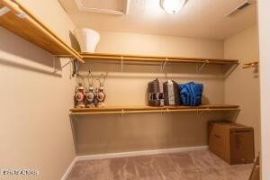 338 Pistole Road Sparta, TN 38583 - Photo 22 of 39 a view of a room with wooden wall