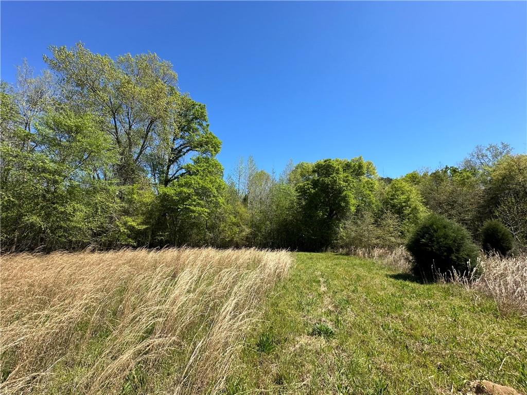 Lot J2 Seaboard Lane Hatchechubbee, AL 36858 - Photo 2 of 13 Gallery Image 2
