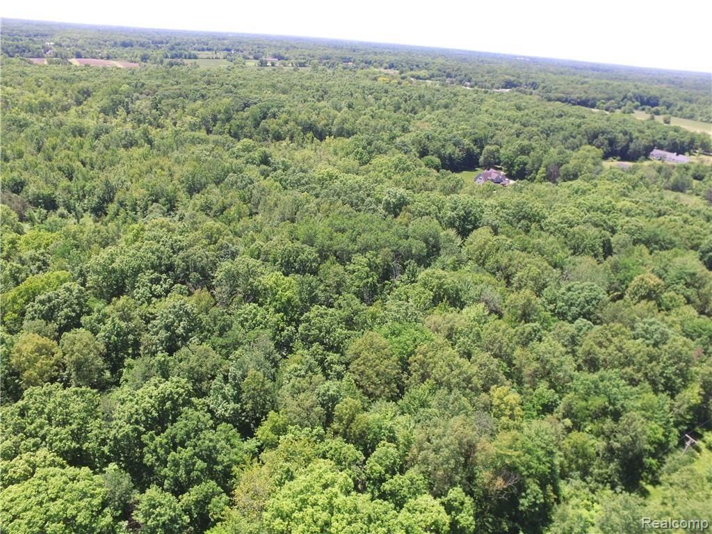 68301 Eight Mile Road South Lyon, MI 48178 - Photo 8 of 16 Gallery Image 8
