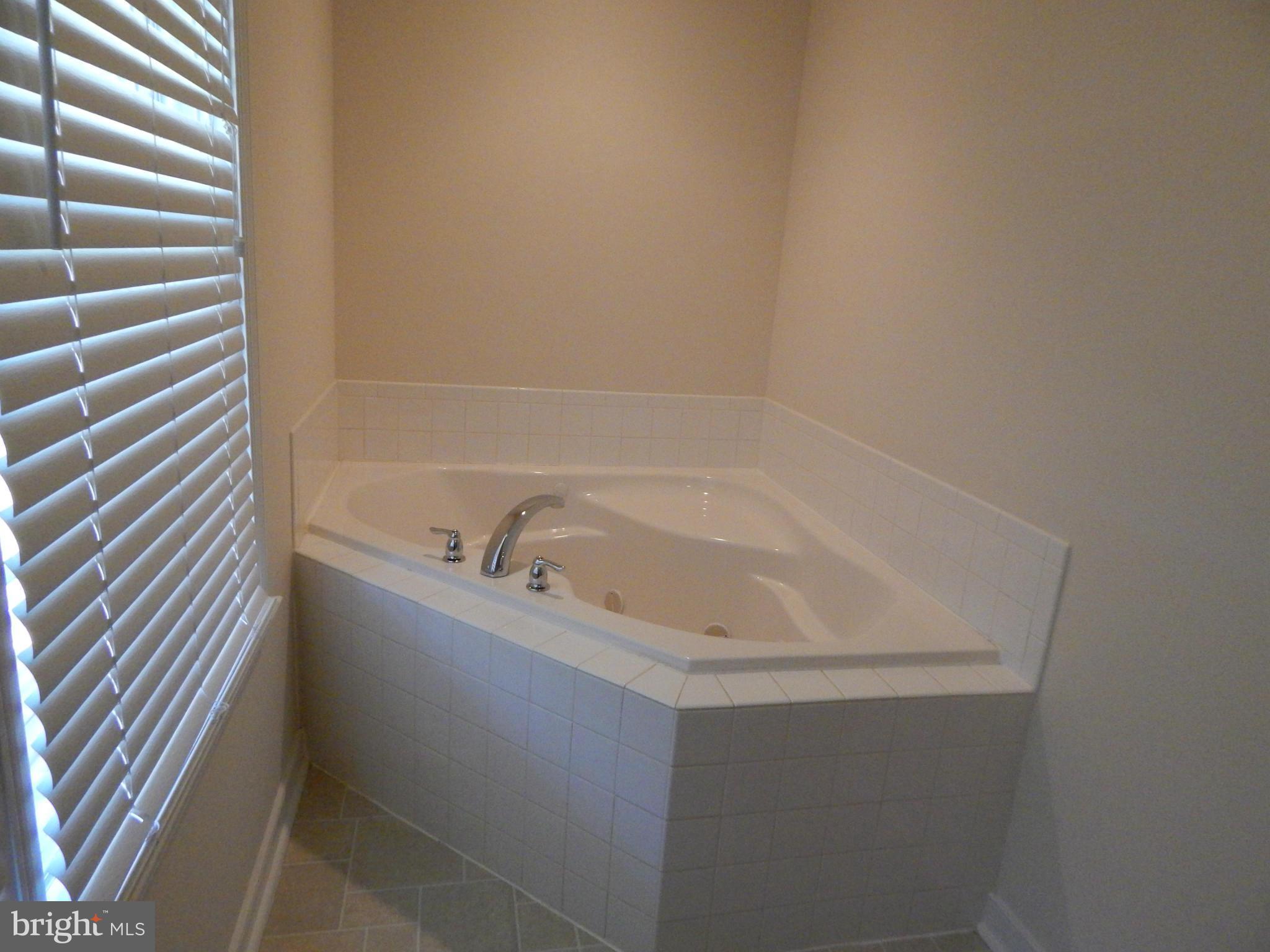 12118 Monterey Road Ruther Glen, VA 22546 - Photo 8 of 16 Jetted Tub