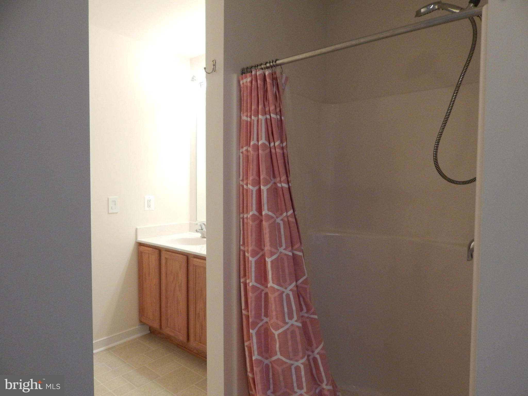 12118 Monterey Road Ruther Glen, VA 22546 - Photo 9 of 16 Separate Shower