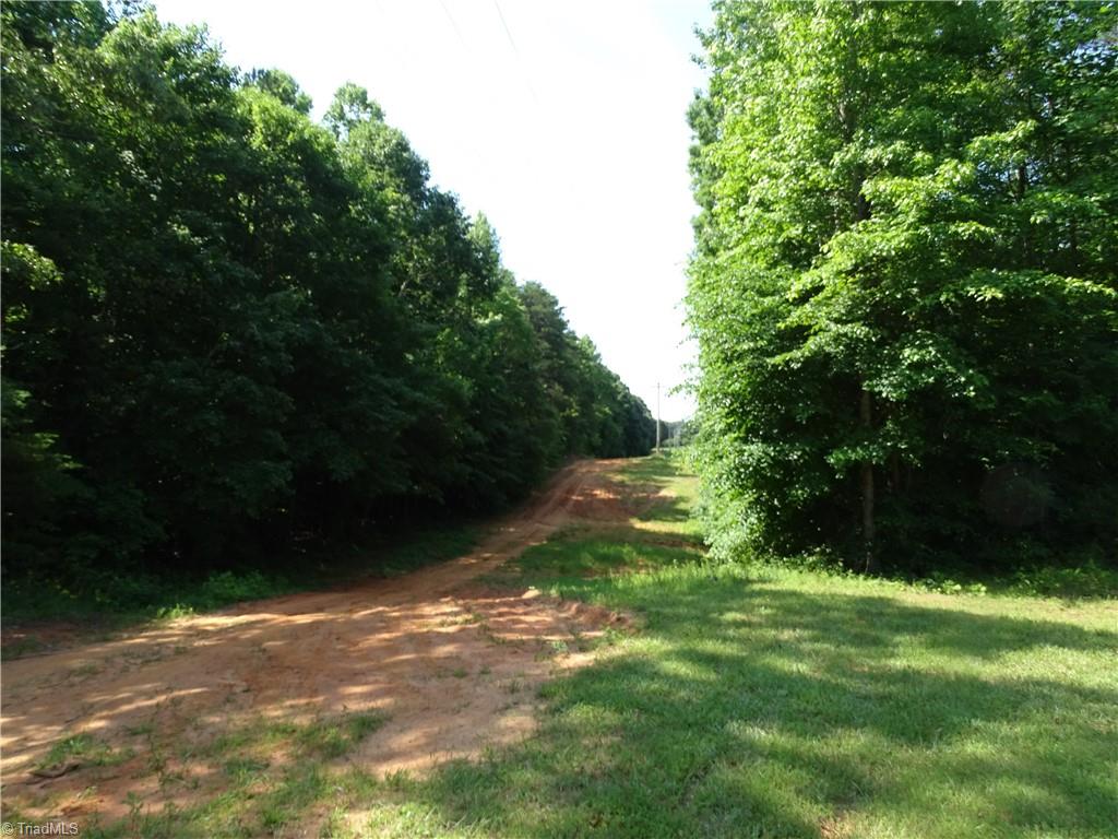 0 Beaver Farm Road Lexington, NC 27295 - Photo 16 of 18 The drive going in