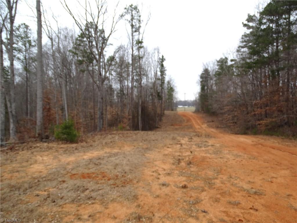 0 Beaver Farm Road Lexington, NC 27295 - Photo 3 of 18 Drive going up to the land