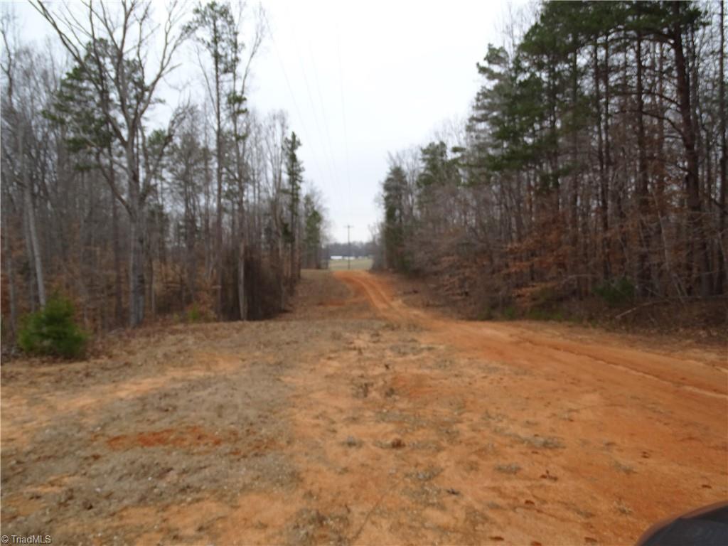 0 Beaver Farm Road Lexington, NC 27295 - Photo 6 of 18 Drive going to land