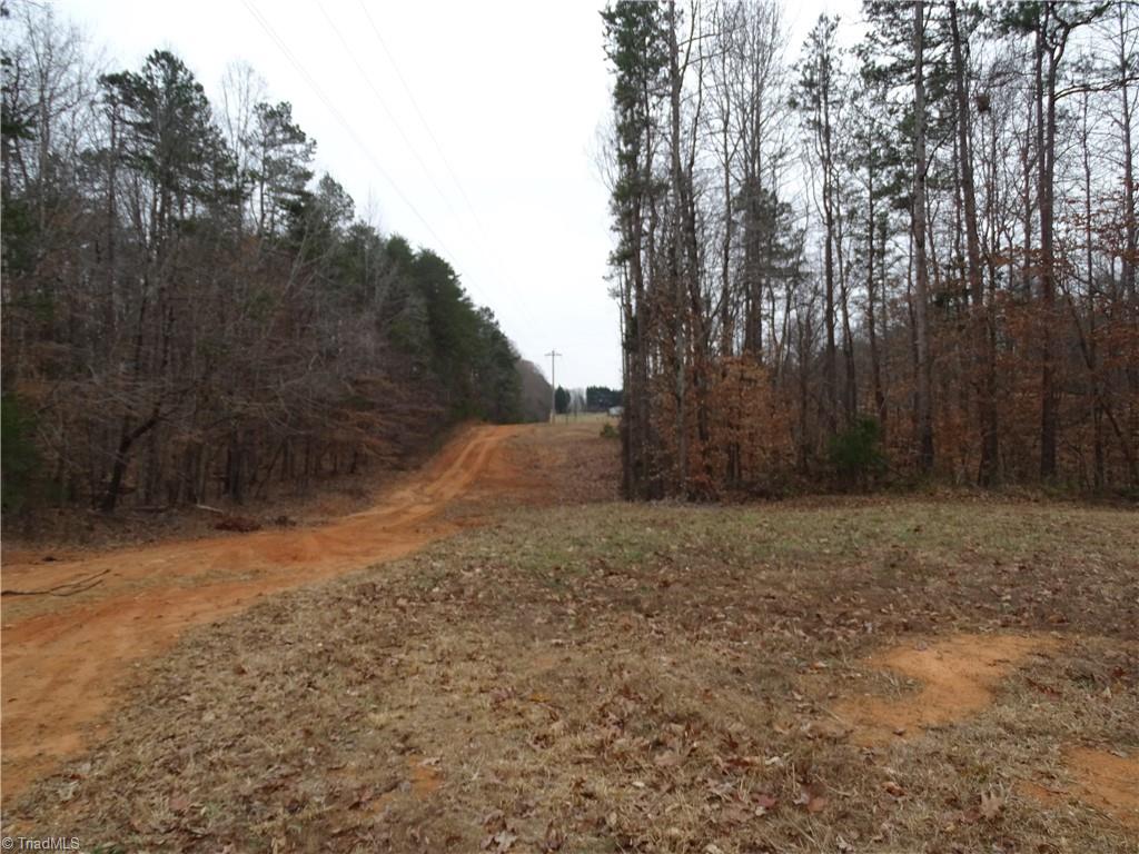 0 Beaver Farm Road Lexington, NC 27295 - Photo 7 of 18 At the land when this photo was took looking back to the drive.