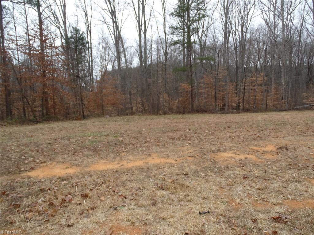 0 Beaver Farm Road Lexington, NC 27295 - Photo 8 of 18 Clear land