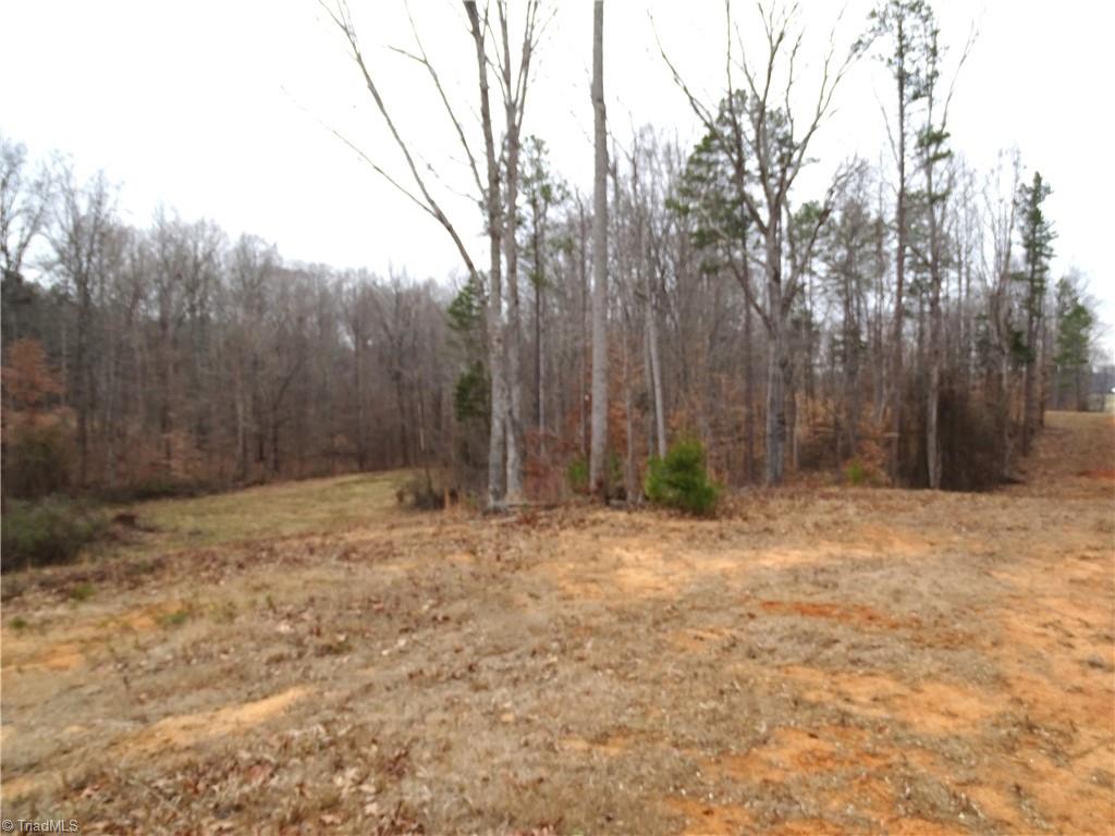 0 Beaver Farm Road Lexington, NC 27295 - Photo 10 of 18 Photo to the left going down