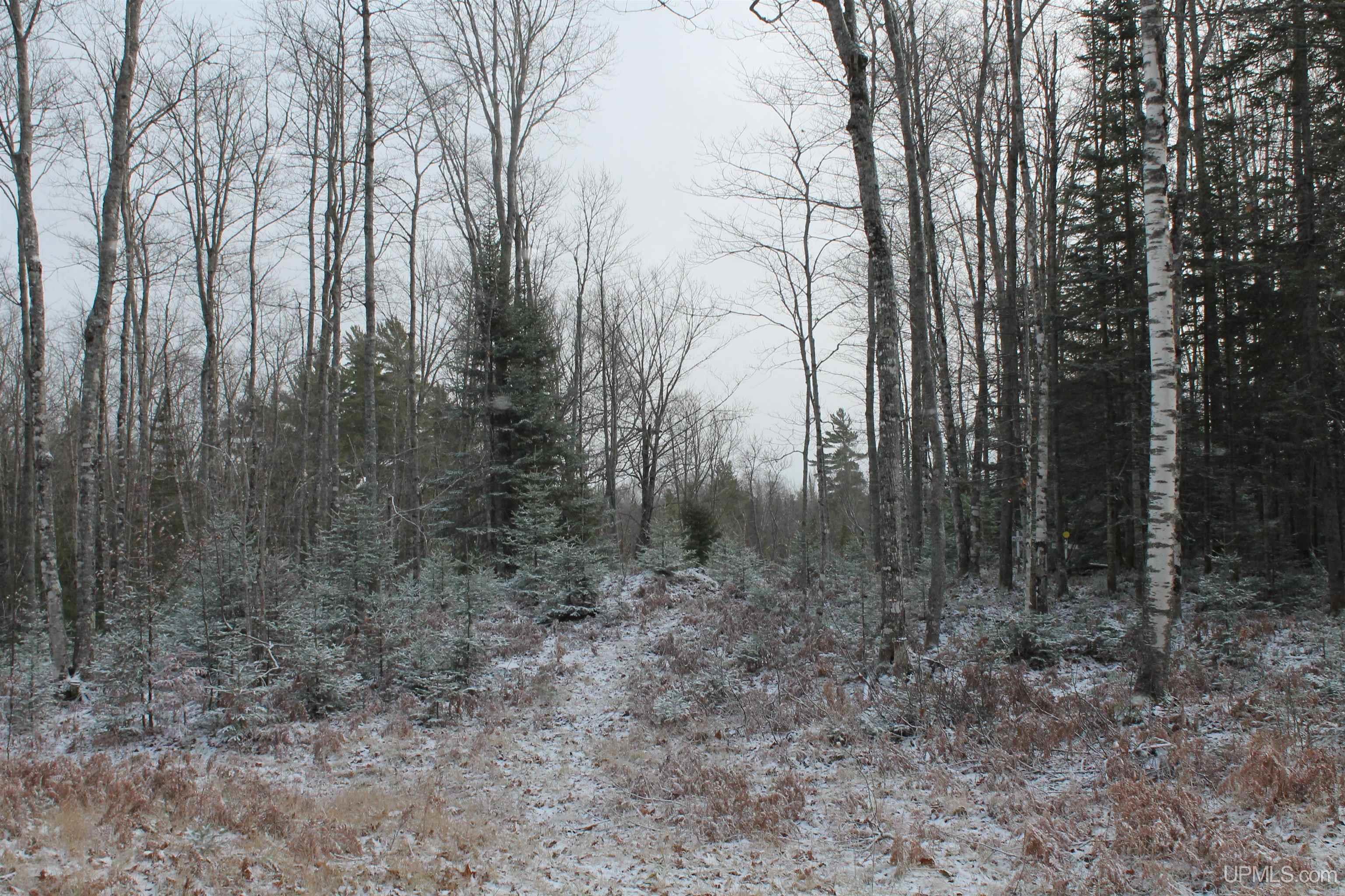 Tbd Wolf Lake Road, Unit 2 Champion, MI 49814 - Photo 35 of 35