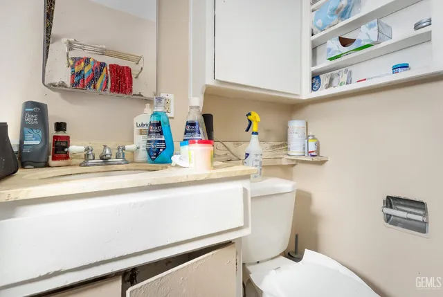 a bathroom with a sink a toilet and a shower