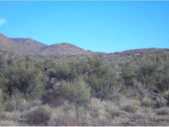 0 Ruger Ranch Road Kirkland, AZ 86332 - Photo 3 of 6 Additional Photo