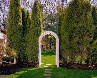 a view of a garden from a patio