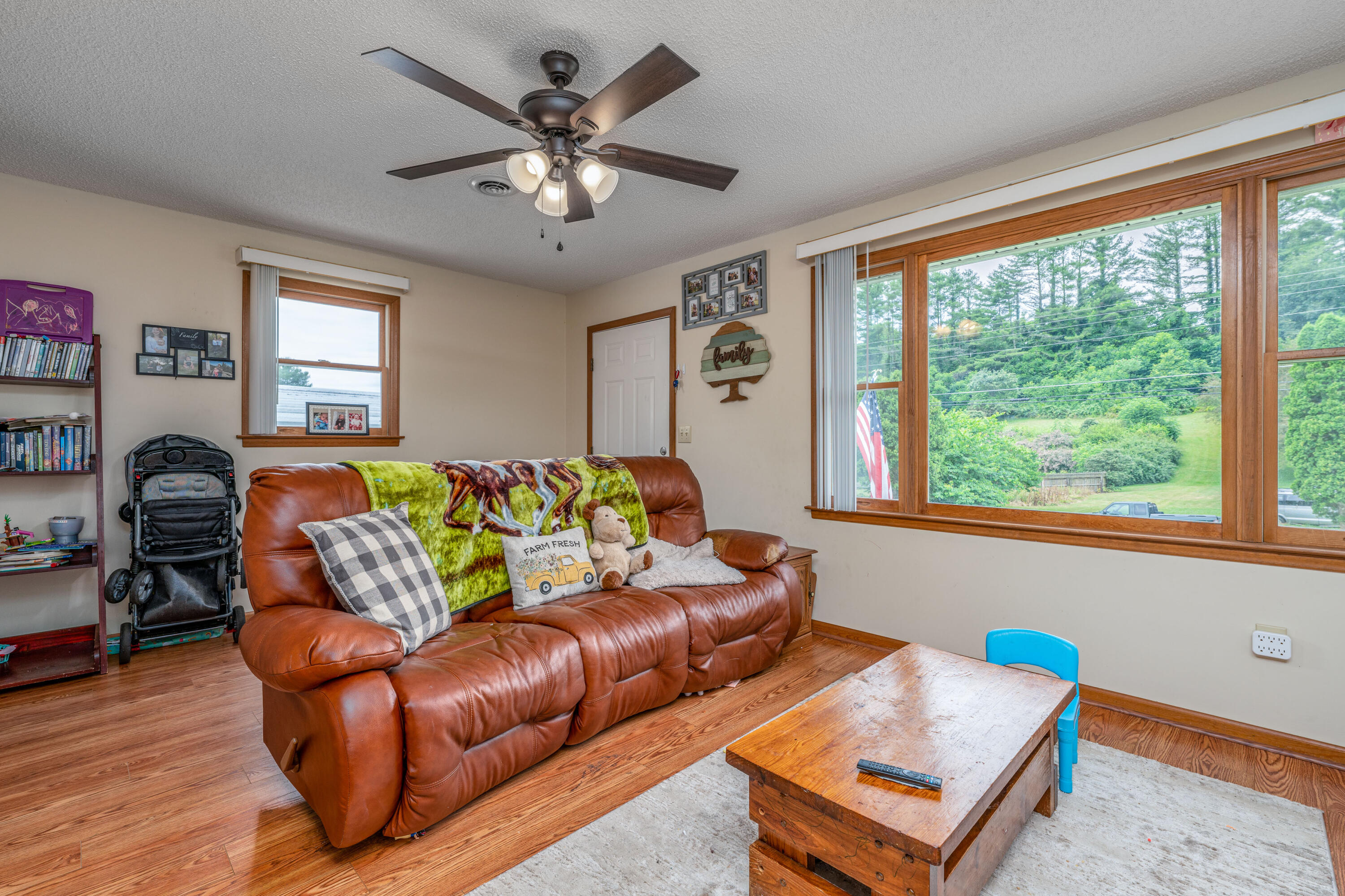490 Hospital Road, Unit 1 Mountain City, TN 37683 - Photo 23 of 35 DSC08377-Edit-13