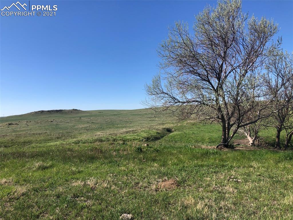 3 Mikita Road Calhan, CO 80808 - Photo 17 of 23 a view of a field with an trees