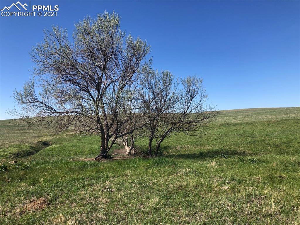 3 Mikita Road Calhan, CO 80808 - Photo 18 of 23 a view of a field with an trees