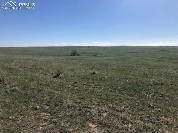 a view of a field with an ocean