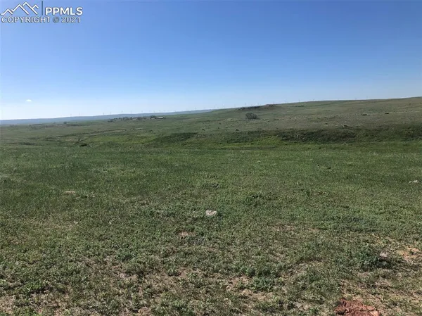 a view of a field