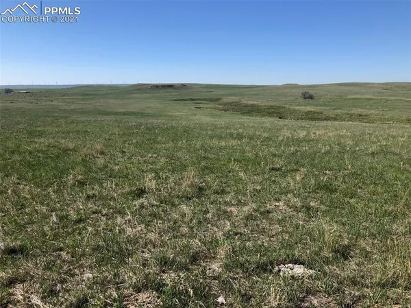 a view of a field with an ocean