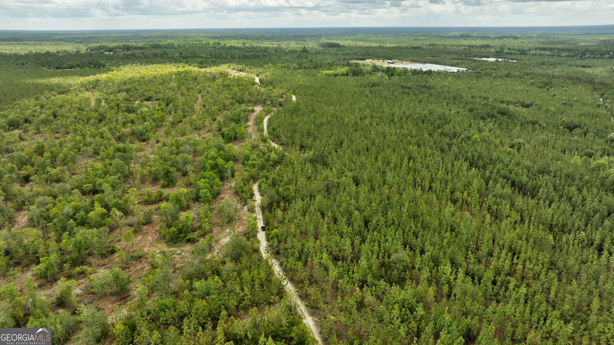 2474 Rushing Boone Road Glennville, GA 30427 - Photo 19 of 112