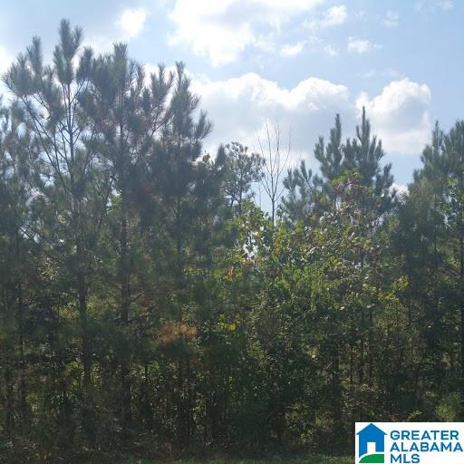 16 Mitch Lane, Unit 16 Alabaster, AL 35007 - Photo 6 of 11