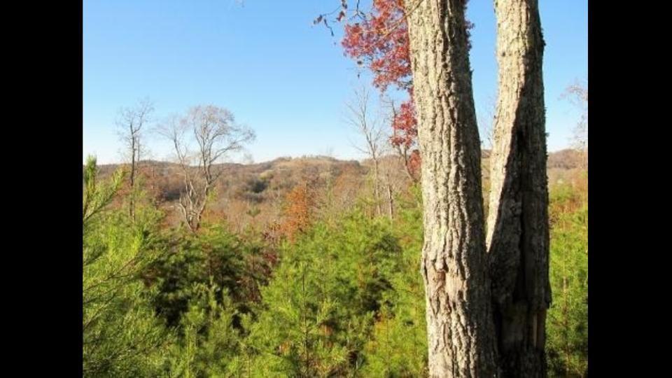 Timber Creek Road Maynardville, TN 37807 - Photo 2 of 3 Timber Creek 2