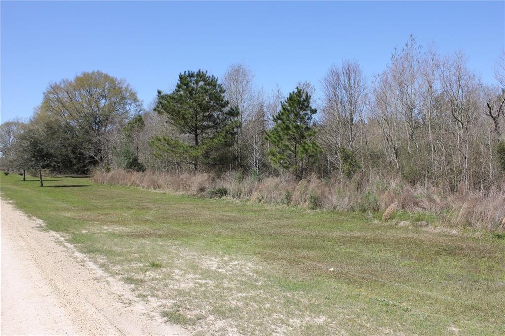 0 Simmons Road Loranger, LA 70446 - Photo 1 of 6