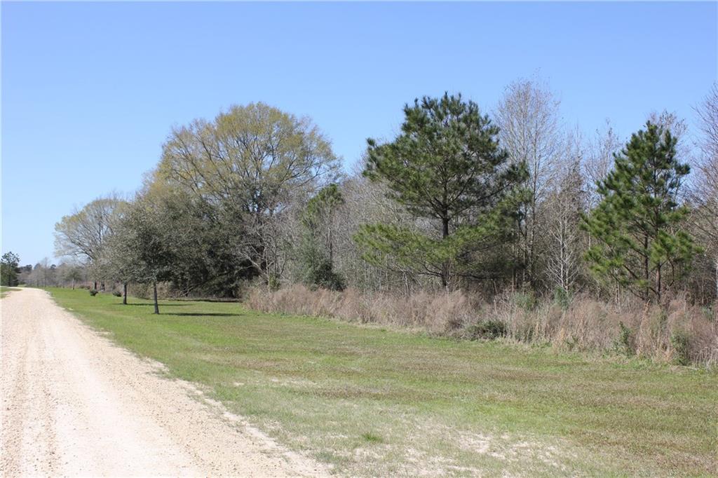 0 Simmons Road Loranger, LA 70446 - Photo 2 of 6