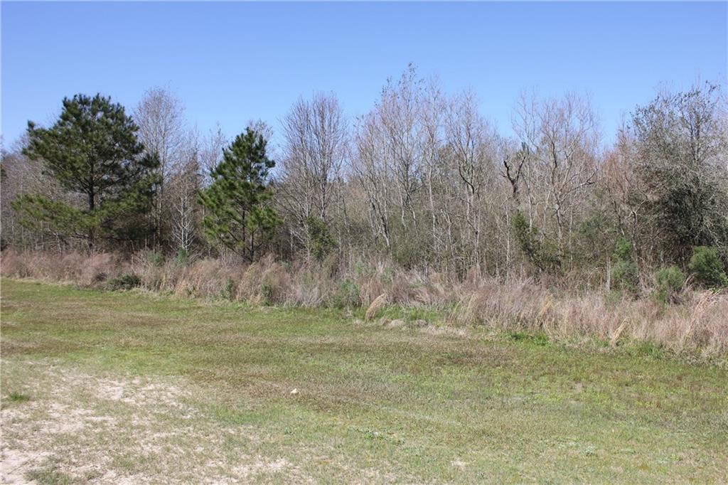 0 Simmons Road Loranger, LA 70446 - Photo 3 of 6