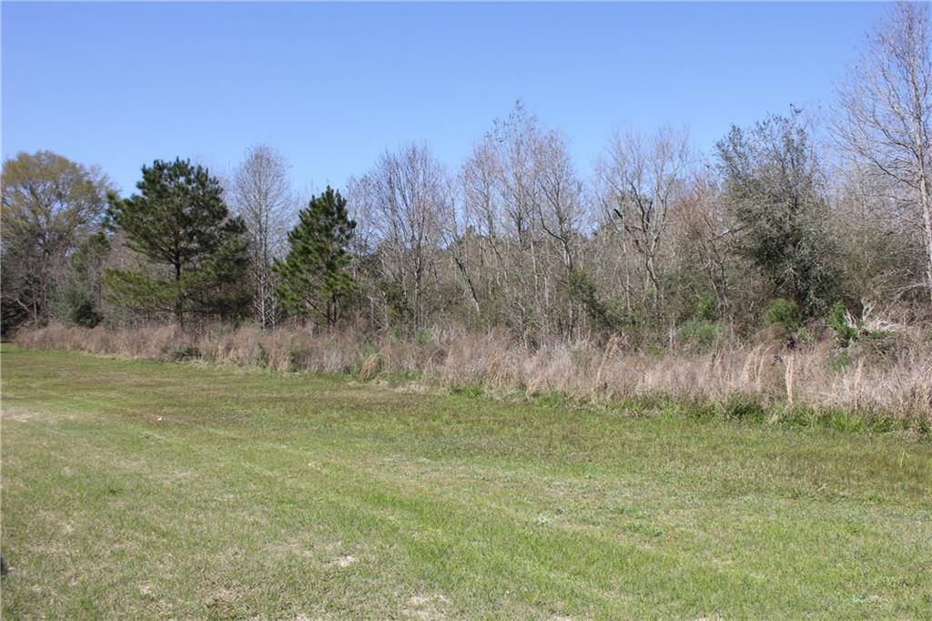 0 Simmons Road Loranger, LA 70446 - Photo 4 of 6
