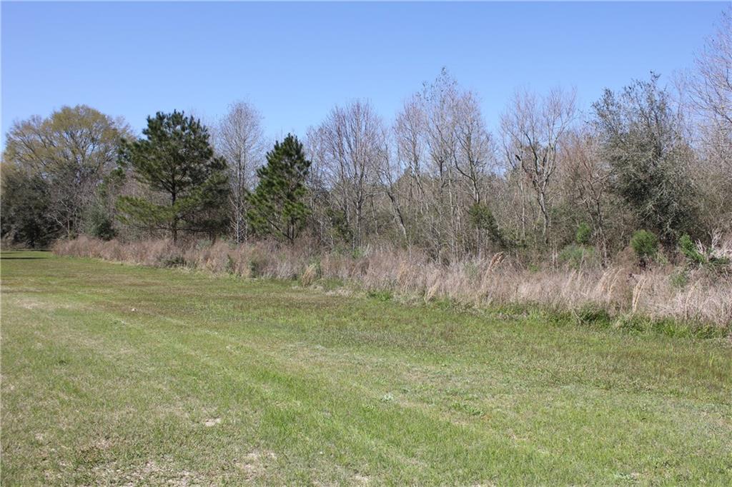 0 Simmons Road Loranger, LA 70446 - Photo 5 of 6