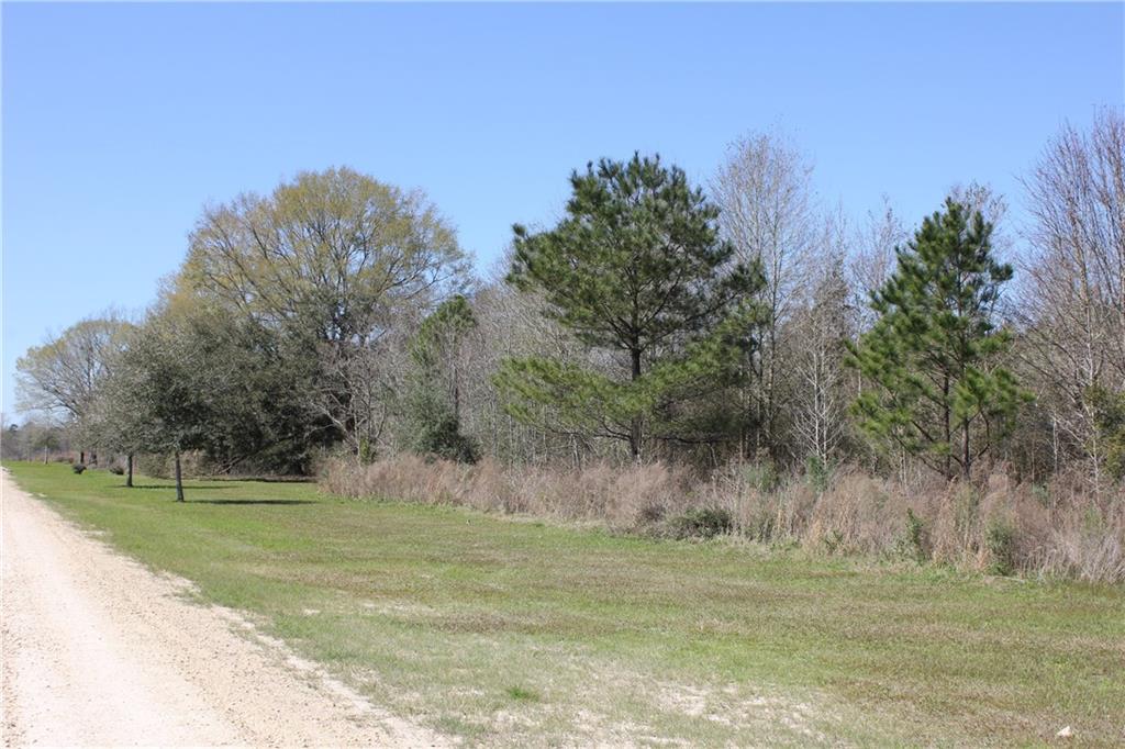 0 Simmons Road Loranger, LA 70446 - Photo 6 of 6