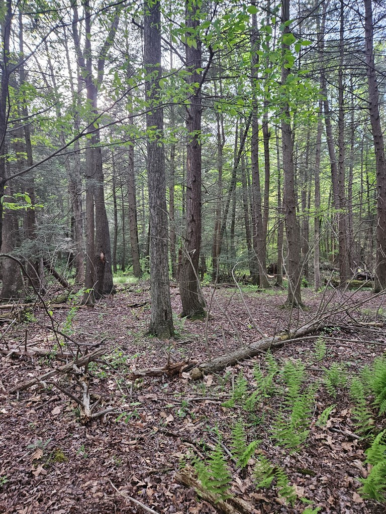 0 Hares Valley Road Mapleton Depot, PA 17052 - Photo 23 of 28 Gallery Image 23