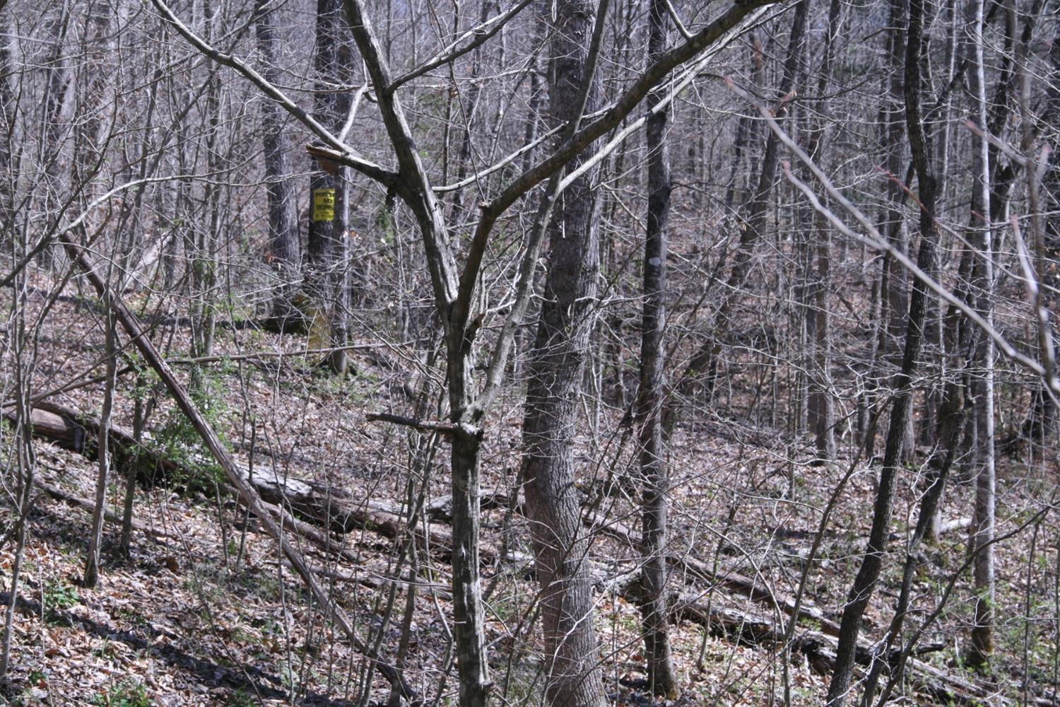 956 Kelse Holland Road Campton, KY 41301 - Photo 25 of 69 Photo 50