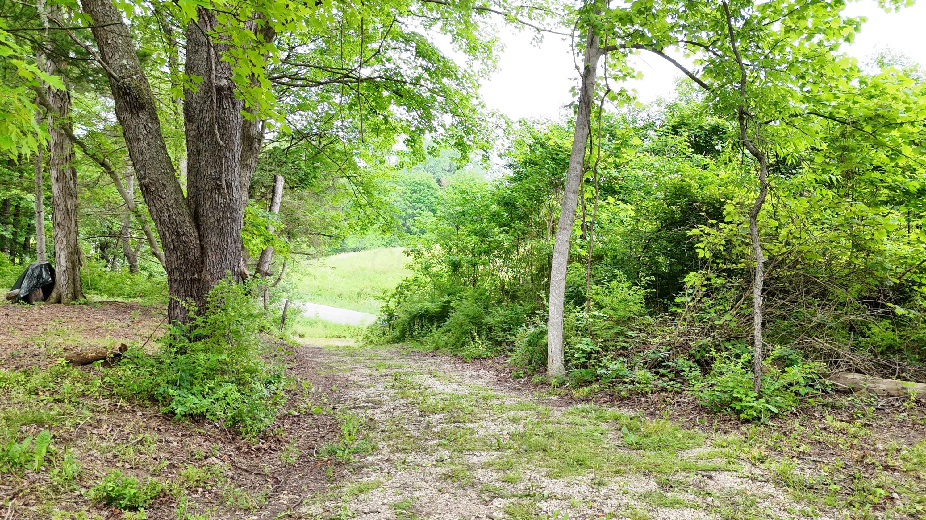 325 West Hanley Road Mansfield, OH 44903 - Photo 5 of 8